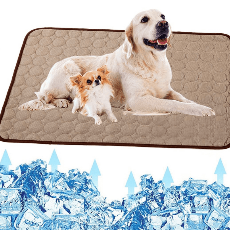 PawBreeze Refreshing Pet Mat for Ultimate Comfort