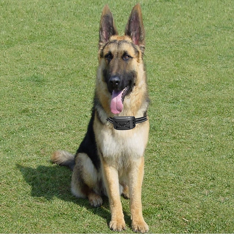 Adjustable Wireless Pet Containment System with Waterproof Collar and Training Modes