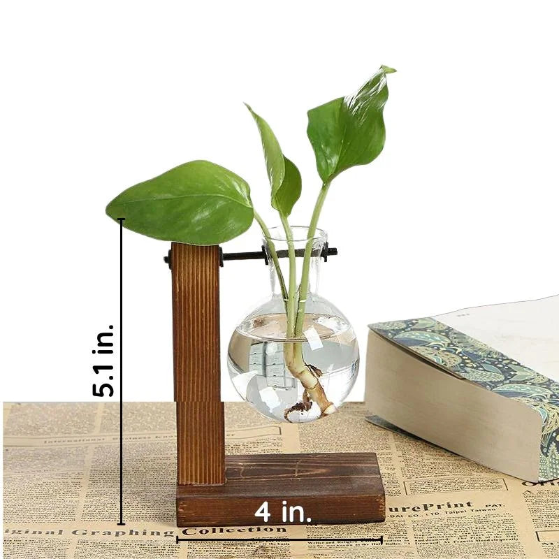 Hydroponic Plant Vase with Wooden Frame