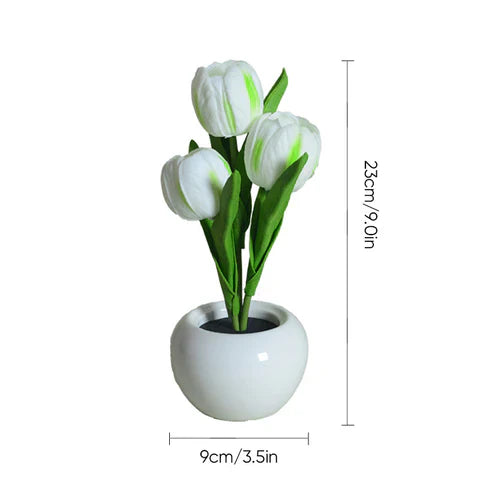 Ceramic Pot Table Lamp with LED – Cozy Accent Lighting