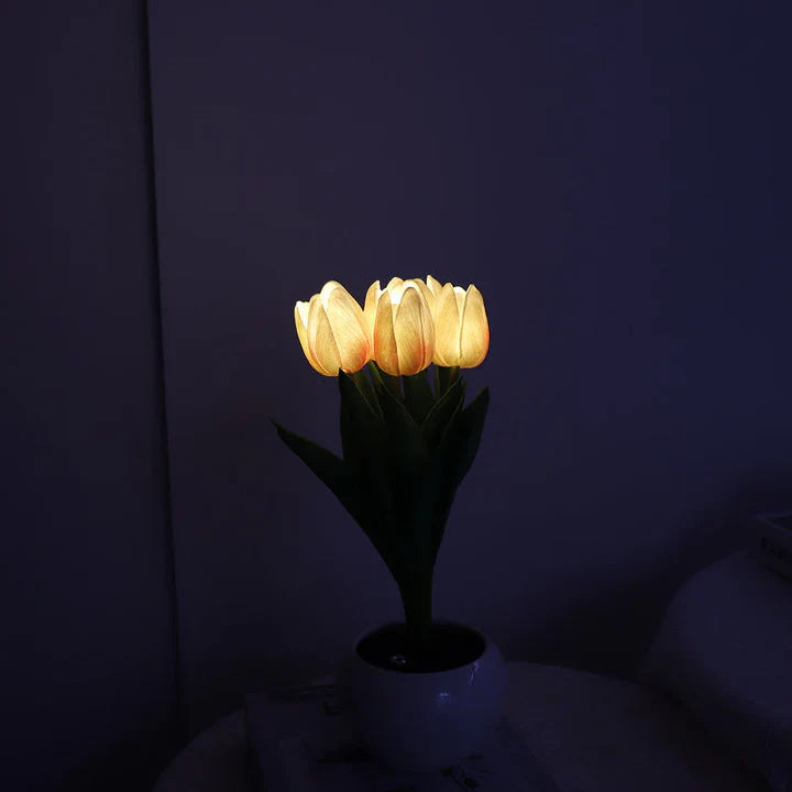 Ceramic Pot Table Lamp with LED – Cozy Accent Lighting