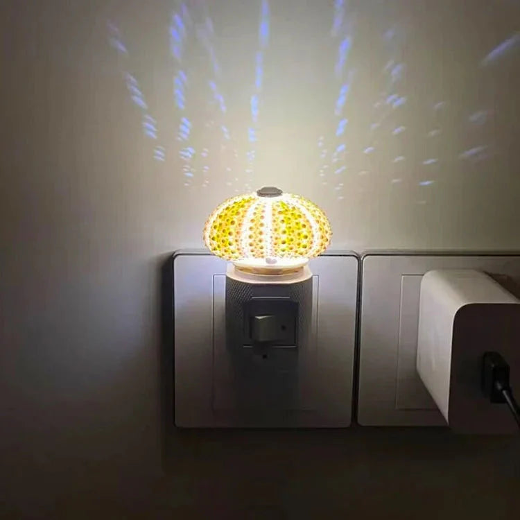 DIY Night Light | Sea Urchin Design | Natural Shell & Gold-Plated Base | Ambient Lighting