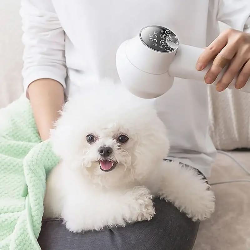SootheDry Whispering Pet Hair Dryer with Ionic Care