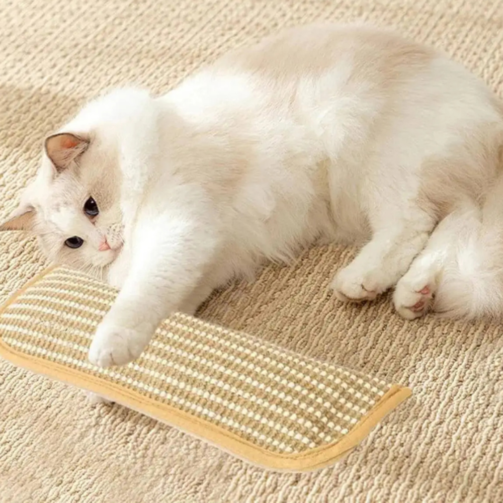 Purrfect Lounge Pillow with Durable Scratch Pad