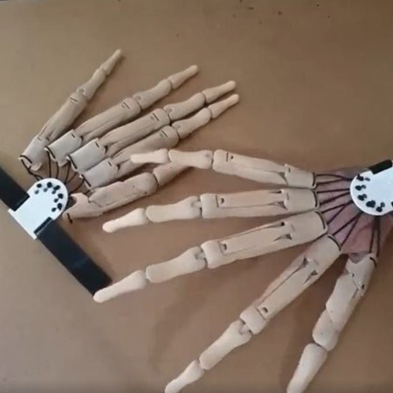 Realistic Articulated Skeleton Fingers Halloween Costume Accessory