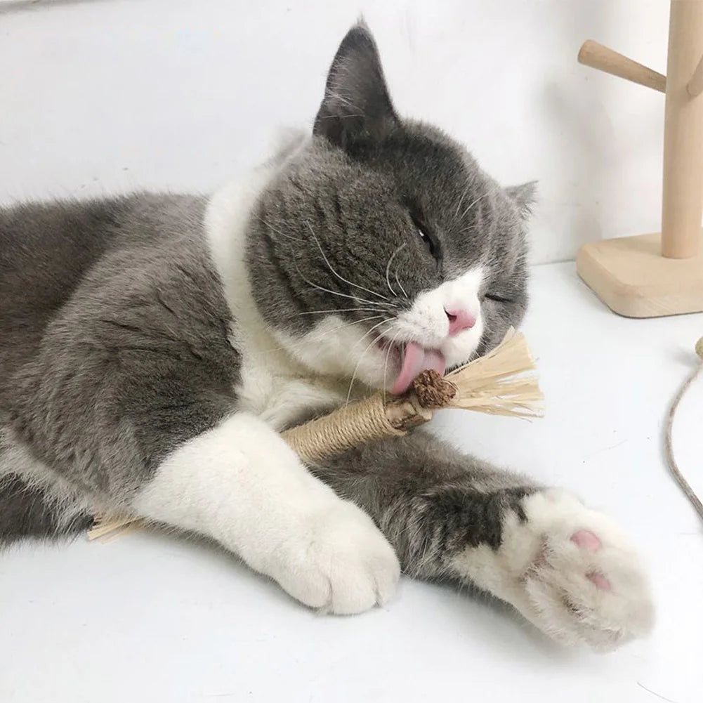 Cat Chew Toy Made from Natural Silvervine
