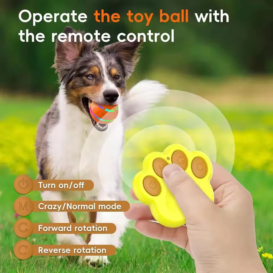 Smart Play Ball for Dogs and Cats - Interactive Fun