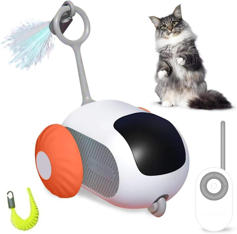 Interactive Cat Toys with Remote Control
