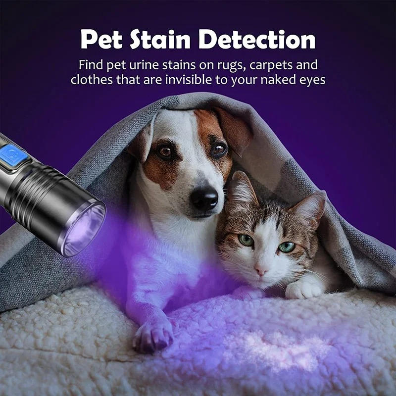 Ultra Violet Detection Torch