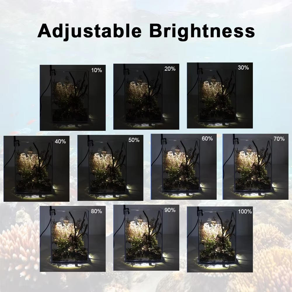 Fish Tank LED Lighting System