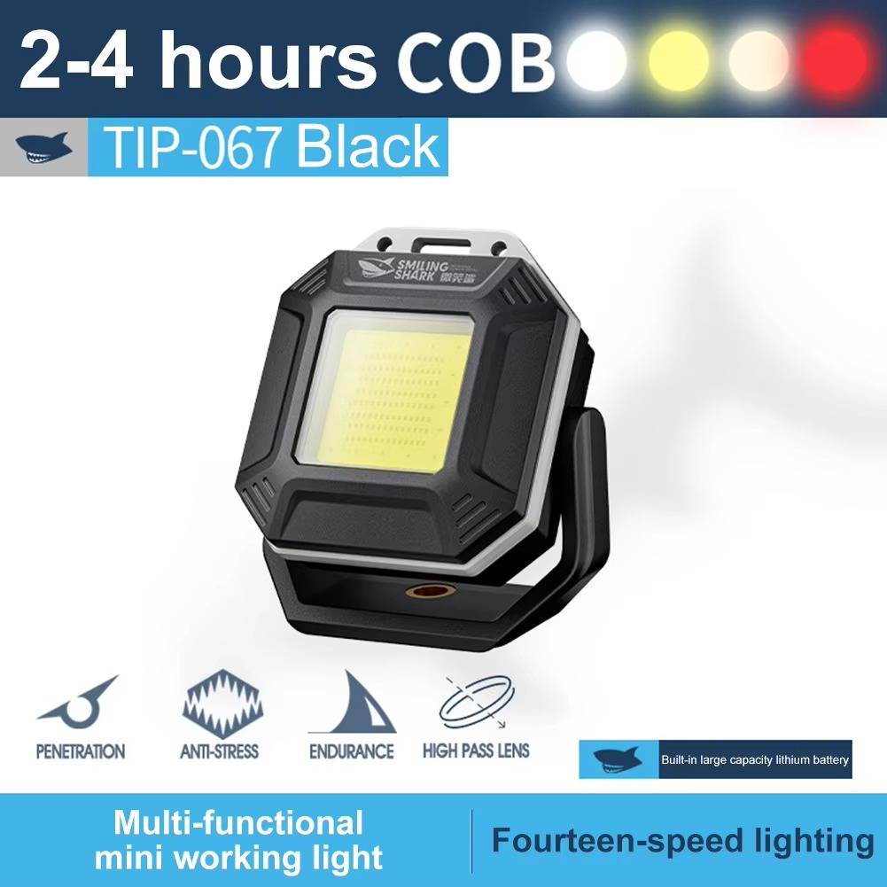 Versatile Vehicle Safety Light with Dual Control
