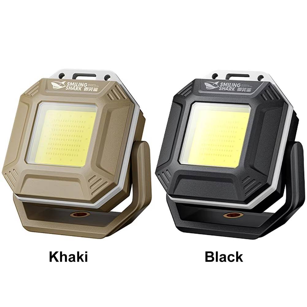 Versatile Vehicle Safety Light with Dual Control