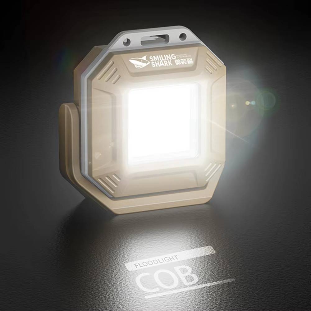 Versatile Vehicle Safety Light with Dual Control