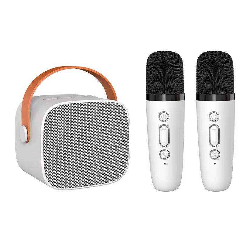 Portable Karaoke System Featuring 2 Cordless Microphones