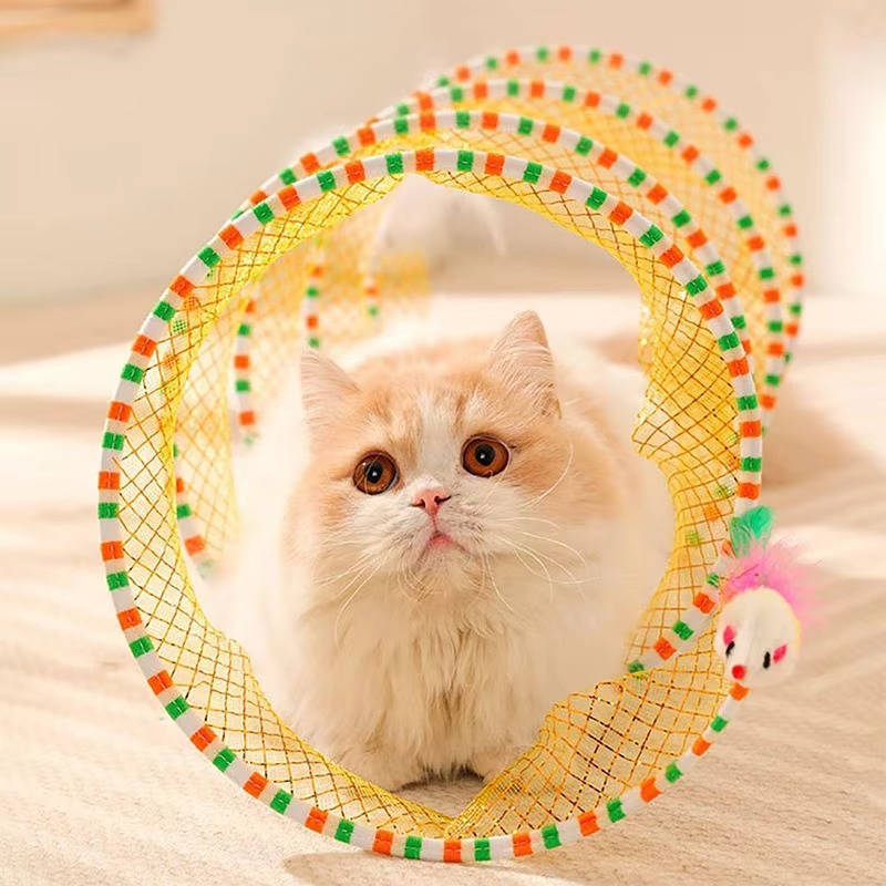 Interactive Pet Play Station for Cats and Small Animals