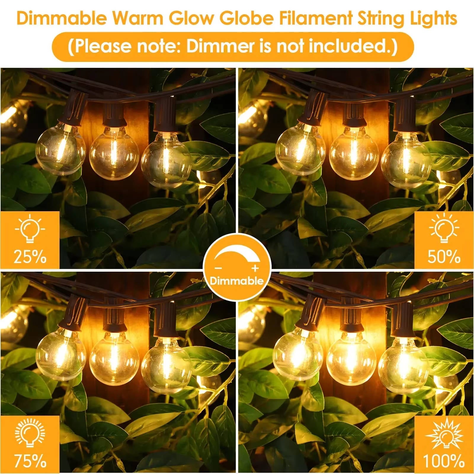 Outdoor LED Fairy Lights for Garden Decoration