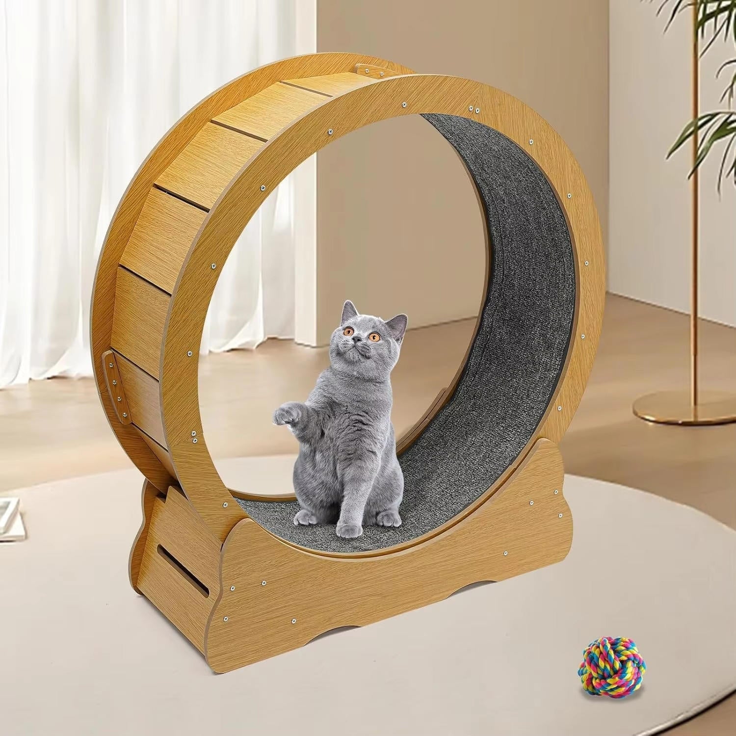 Indoor Cat Fitness Wheel for Active Play