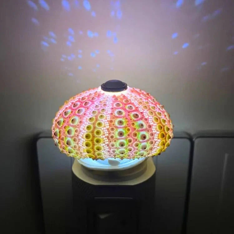 DIY Night Light | Sea Urchin Design | Natural Shell & Gold-Plated Base | Ambient Lighting