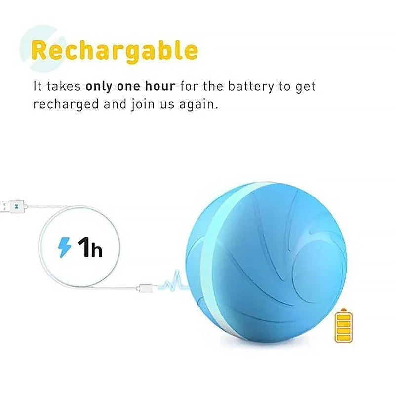 Interactive Pet Play Ball for Endless Fun