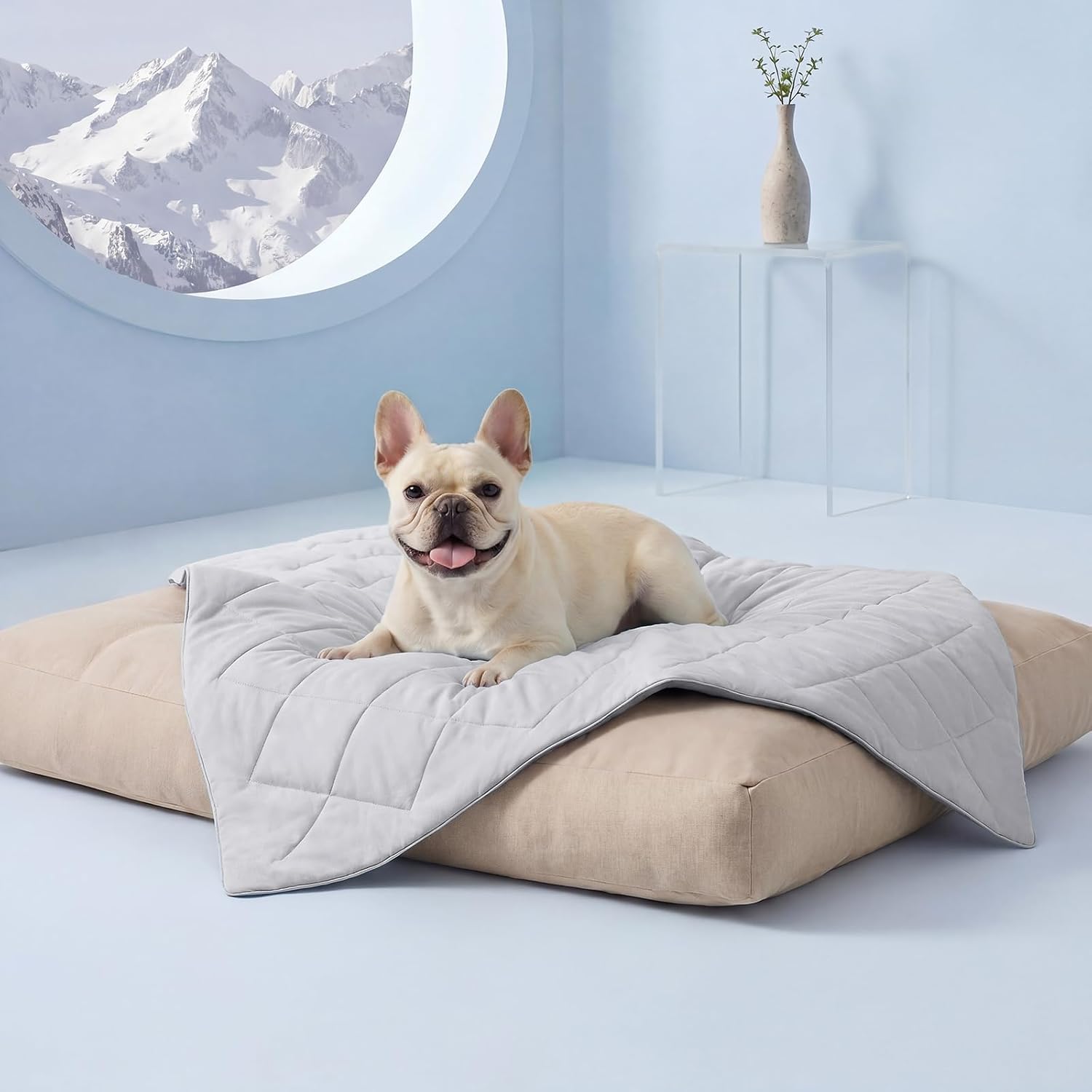 Cooling Blanket for Small & Medium Dogs | Washable Comfort Mat
