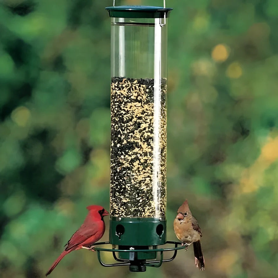 Ultimate Squirrel-Resistant Bird Feeder