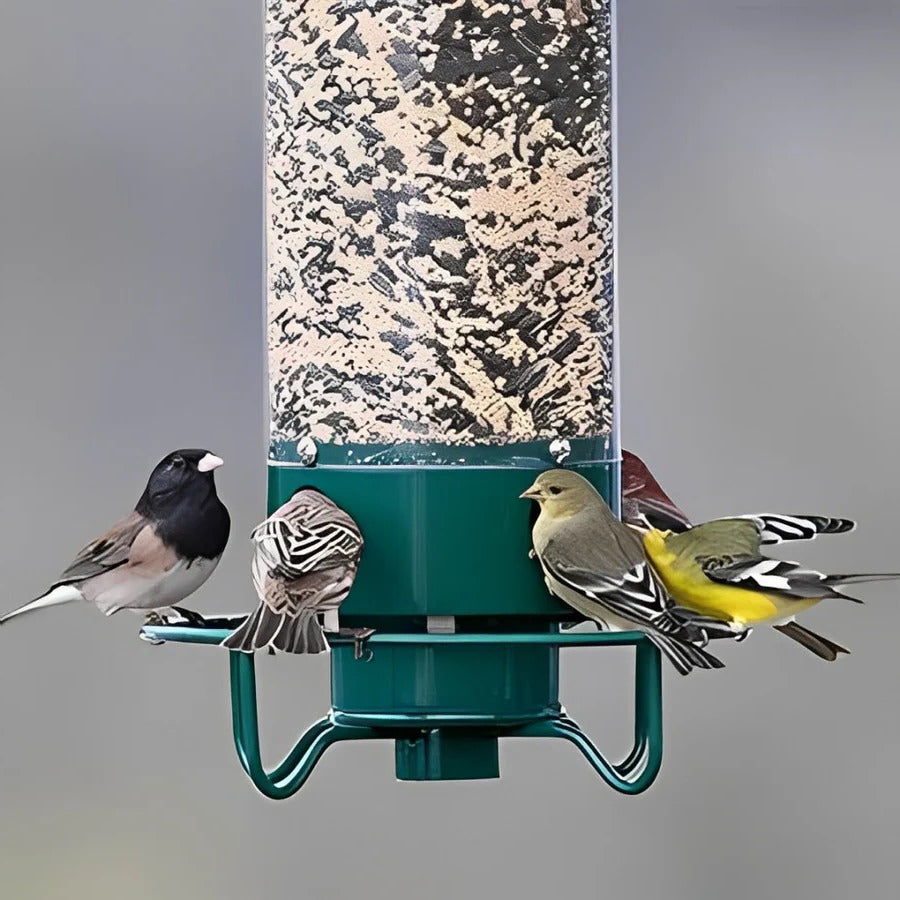 Ultimate Squirrel-Resistant Bird Feeder