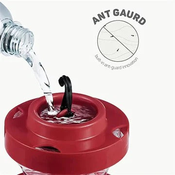 Vibrant 16oz Hummingbird Feeder with Ant Shield & No-Spill Design