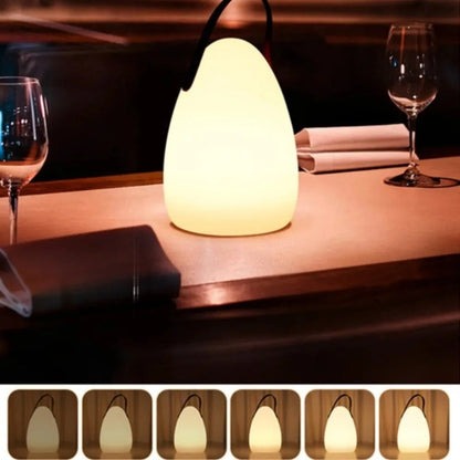 Portable Waterproof LED Lamp for Indoor and Outdoor Use