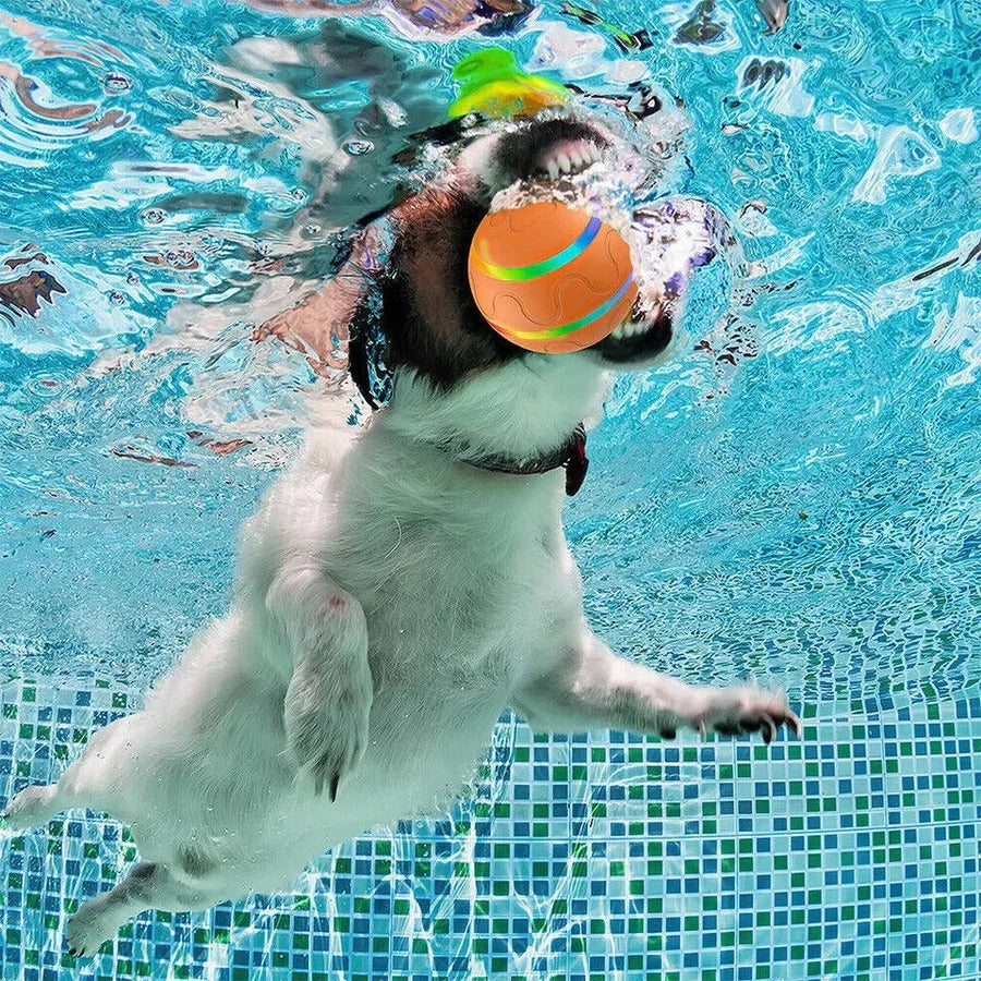Smart Play Ball for Dogs and Cats - Interactive Fun