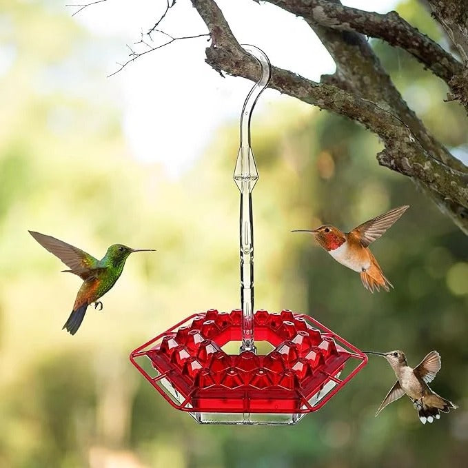 Ultimate Outdoor Hummingbird Feeder with Ant Barrier & Perch