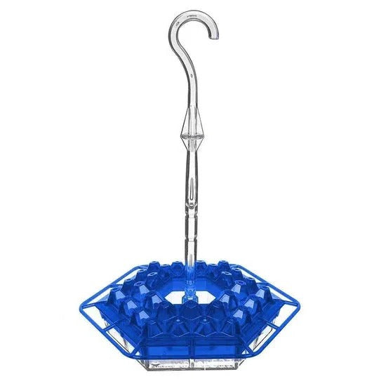 Ultimate Outdoor Hummingbird Feeder with Ant Barrier & Perch