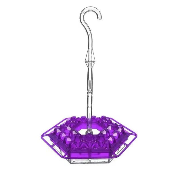 Ultimate Outdoor Hummingbird Feeder with Ant Barrier & Perch