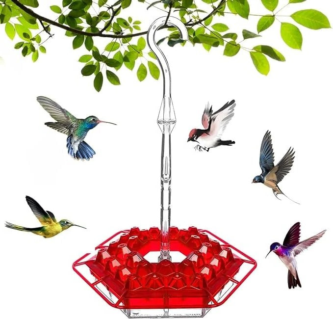Ultimate Outdoor Hummingbird Feeder with Ant Barrier & Perch