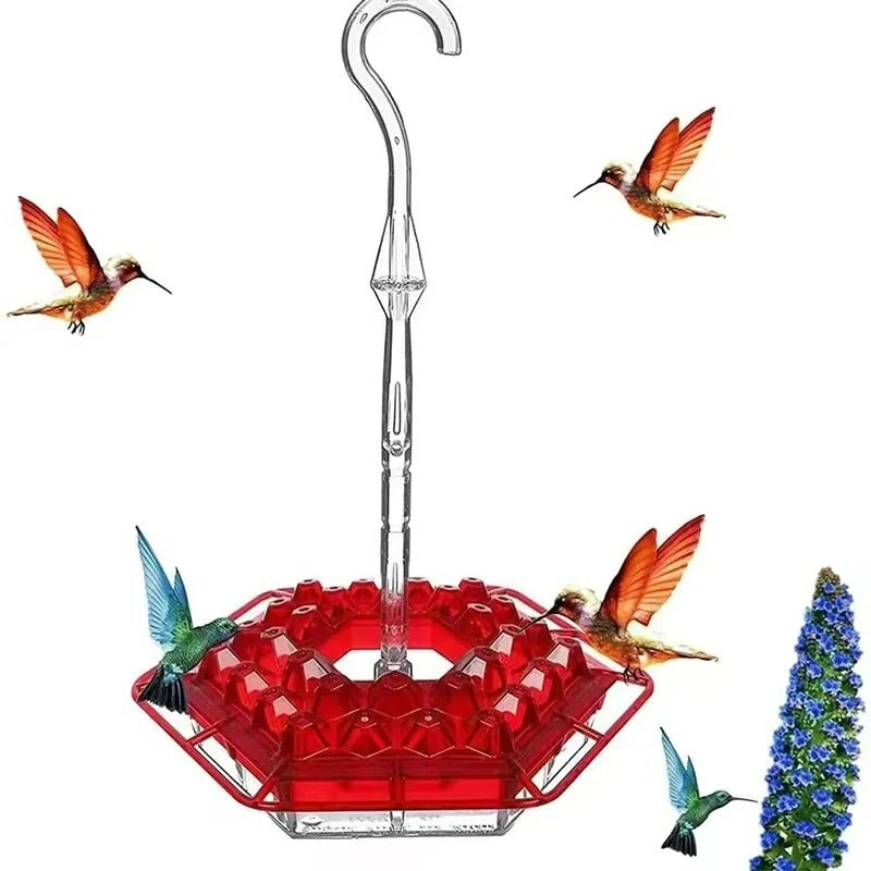 Ultimate Outdoor Hummingbird Feeder with Ant Barrier & Perch