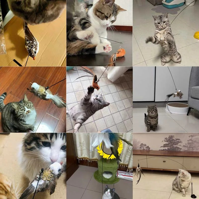 Engaging Bird Mimic Toy Set for Playful Cats