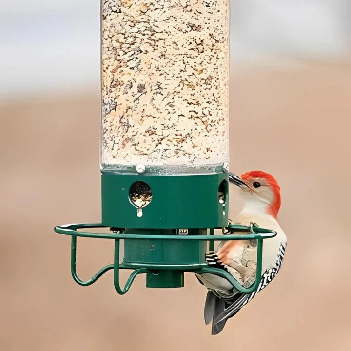 Durable Outdoor Bird Feeder with Squirrel Deterrent Feature