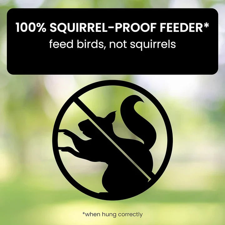 Durable Outdoor Bird Feeder with Squirrel Deterrent Feature