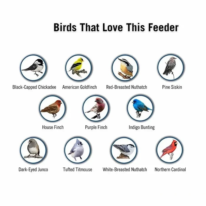 Durable Outdoor Bird Feeder with Squirrel Deterrent Feature