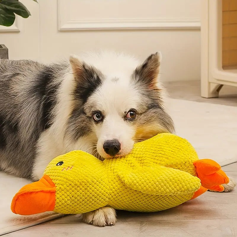Plush Quacker Buddy – The Perfect Playmate for Dogs