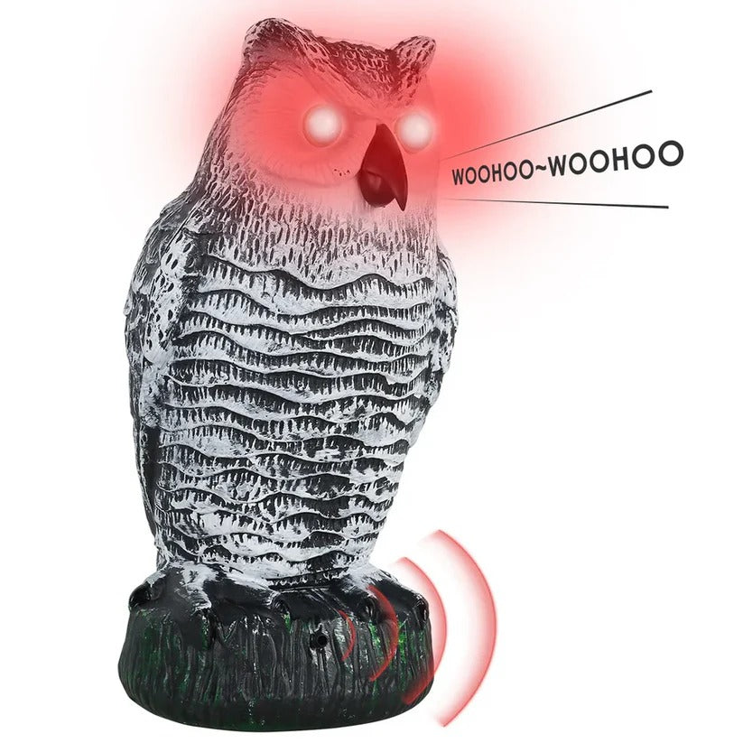 Lifelike Owl Repellent – Natural Pest Control Solution