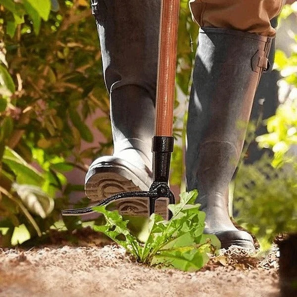 Ergonomic Garden Weeder with 4-Prong Root Extraction