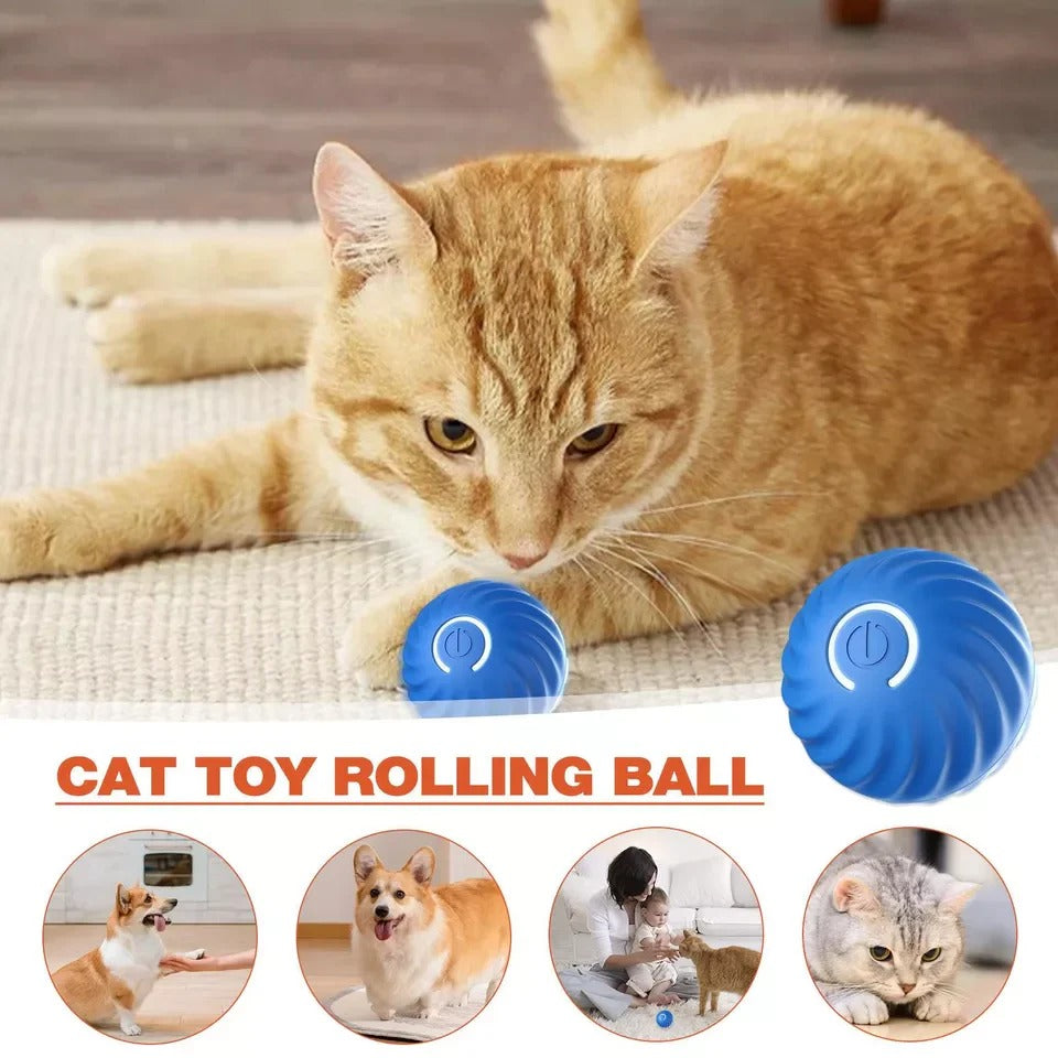 Interactive Motion Ball Toy for Pets and Fidget Lovers