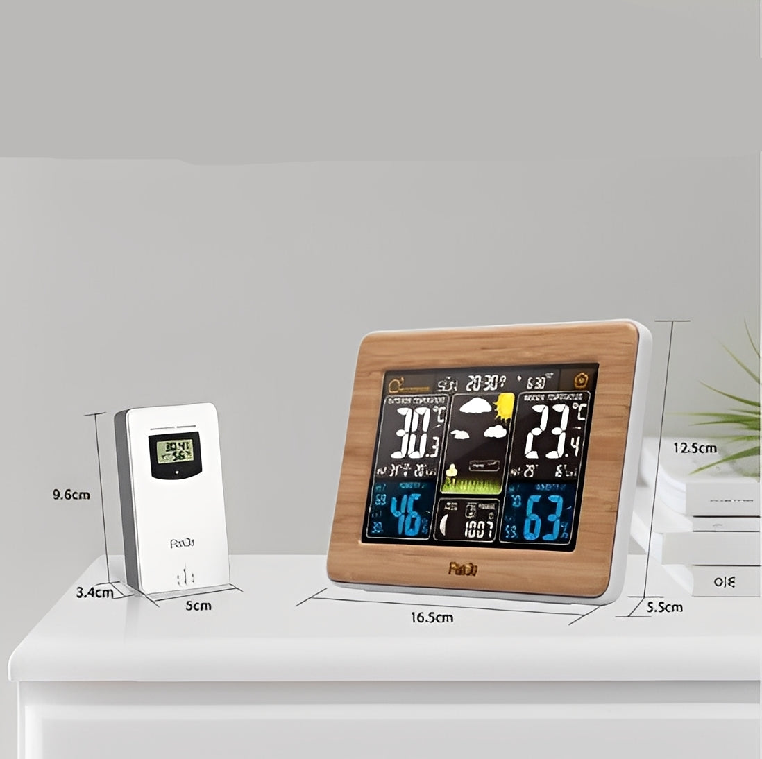 Smart Indoor and Outdoor Climate Monitor