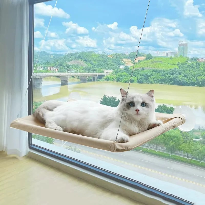 Elevated Cat Perch for Windows with Strong Suction Cups