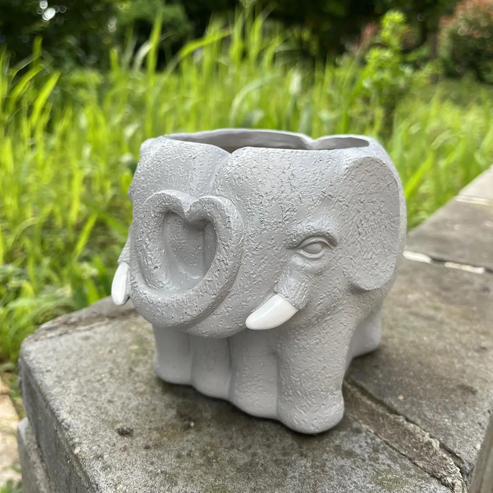 Charming Miniature Planter for Succulents and Home Decor