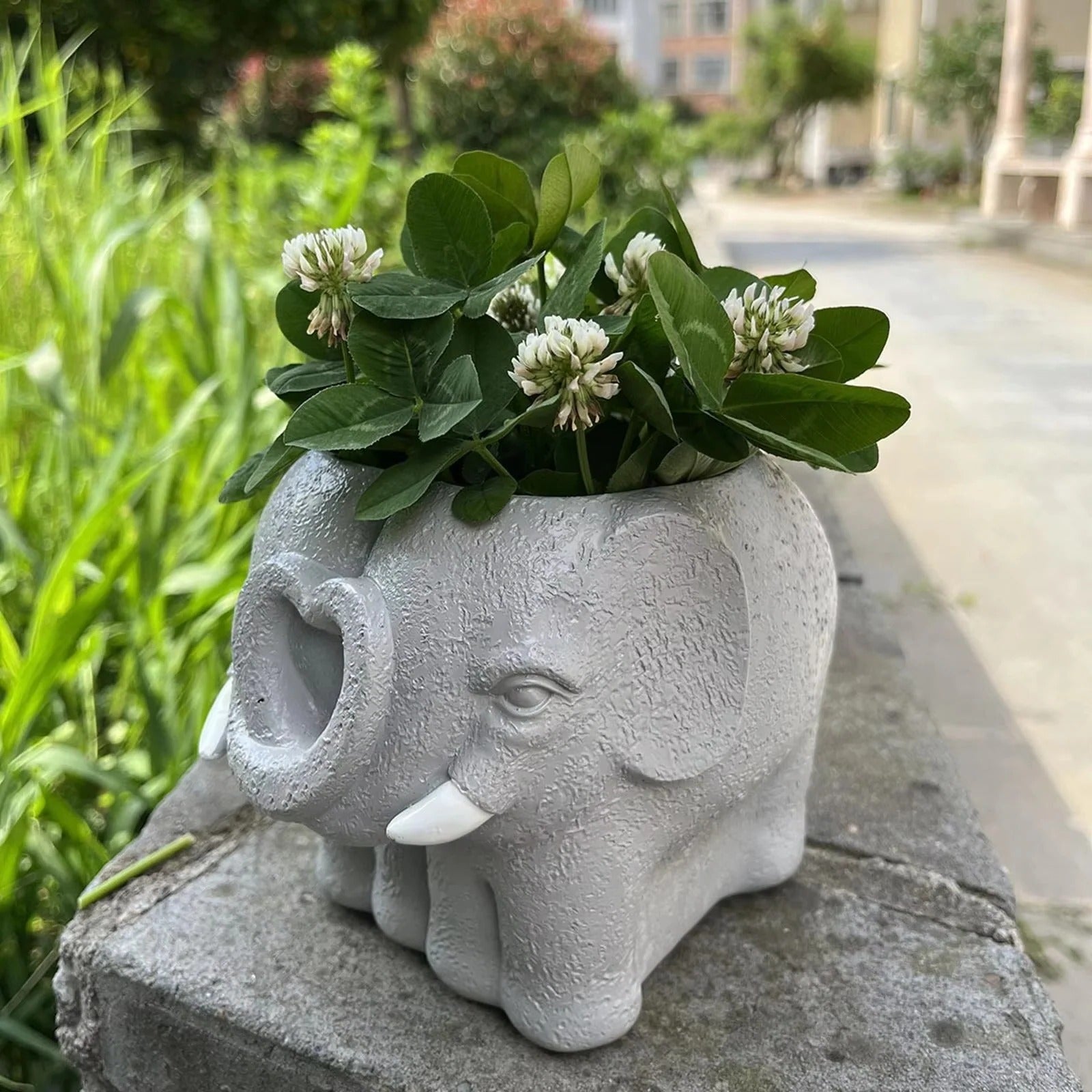 Charming Miniature Planter for Succulents and Home Decor