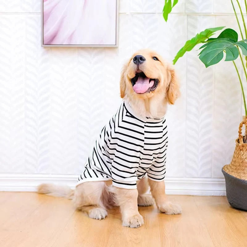 Breathable Summer Dog Tee with Stylish Stripes