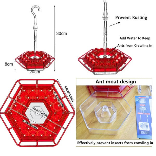 Attractive Hummingbird Feeder with Ant Protection