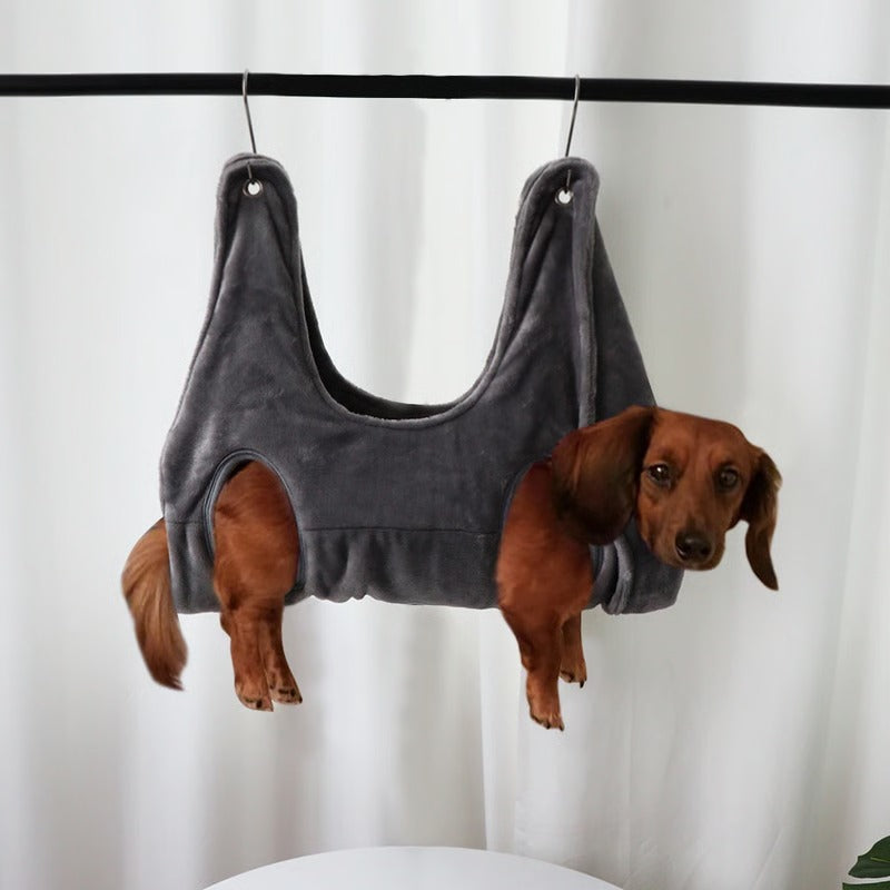 Comfortable Grooming Solution for Dogs and Cats