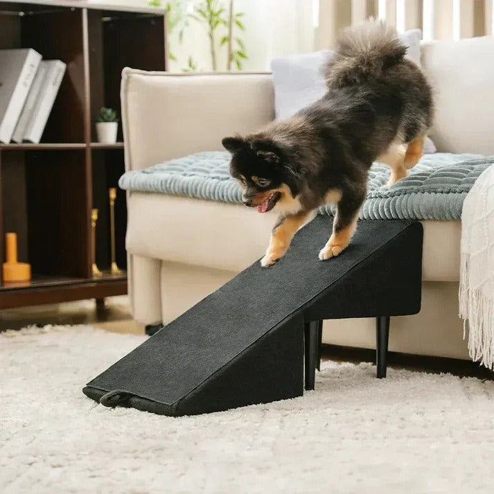 Multi-Functional Pet Access Ramp and Step Ladder